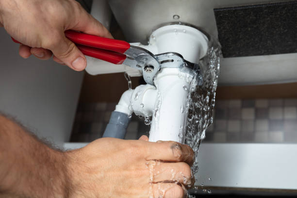 Best Water damage restoration experts  in Graceville, FL