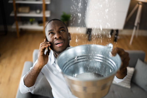 Best Flood damage cleanup  in Graceville, FL