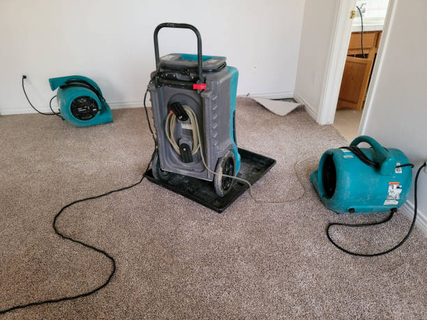 Carpet water damage restoration in FL