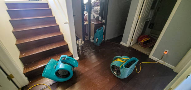 Best Flood restoration services  in Graceville, FL