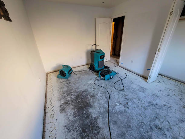 Best Local water damage restoration  in Graceville, FL