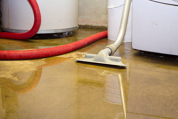 Best Water damage restoration experts  in Graceville, FL