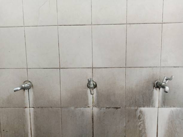Best Sewage cleanup and water damage restoration  in Graceville, FL