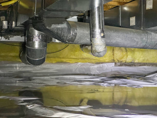 Best Emergency water extraction  in Graceville, FL