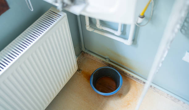 Best Residential water damage restoration  in Graceville, FL