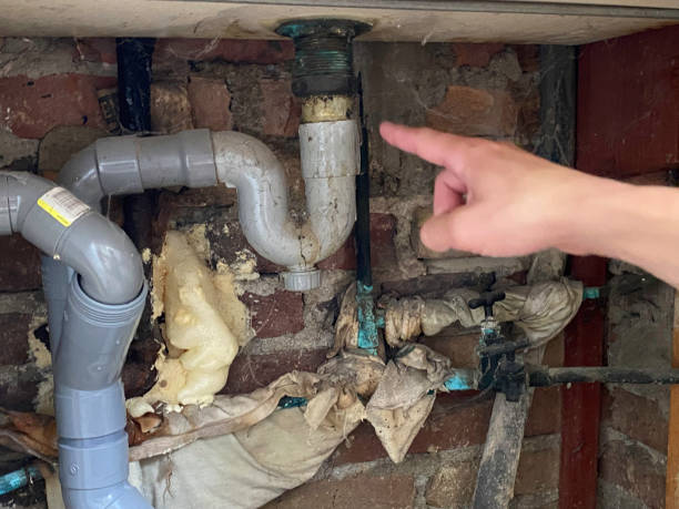 Best Basement water damage restoration  in Graceville, FL