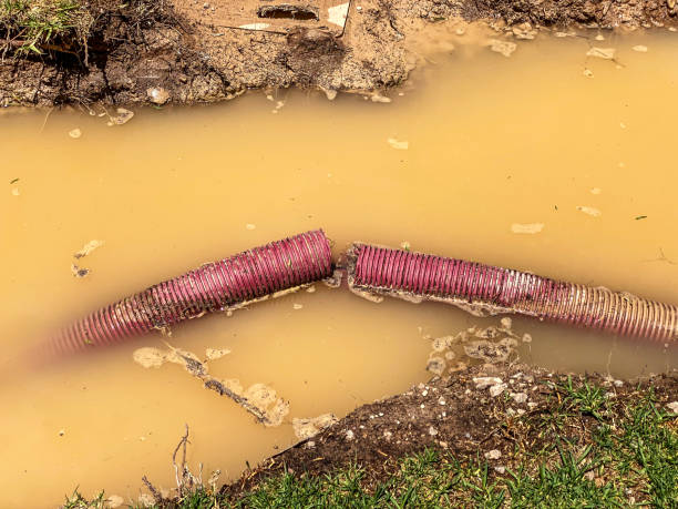  Graceville, FL Water damage restoration Pros