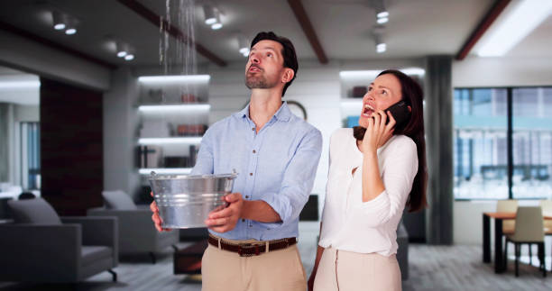 Best Professional water damage repair  in Graceville, FL